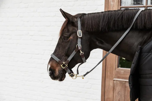 Boomerang Equestrian - Kentucky Plaited Nylon Halter Grey