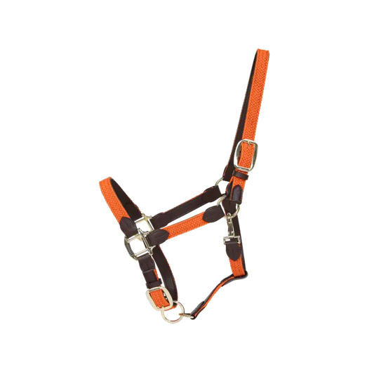 Boomerang Equestrian - Kentucky Plaited Nylon Halter Orange