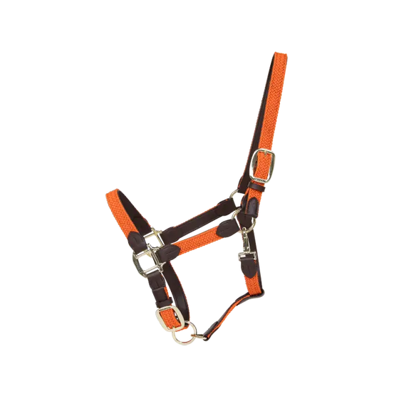 Kentucky Plaited Nylon Halter Orange