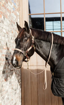  Kentucky Plaited Nylon Halter Beige