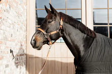  Kentucky Plaited Nylon Halter Orange