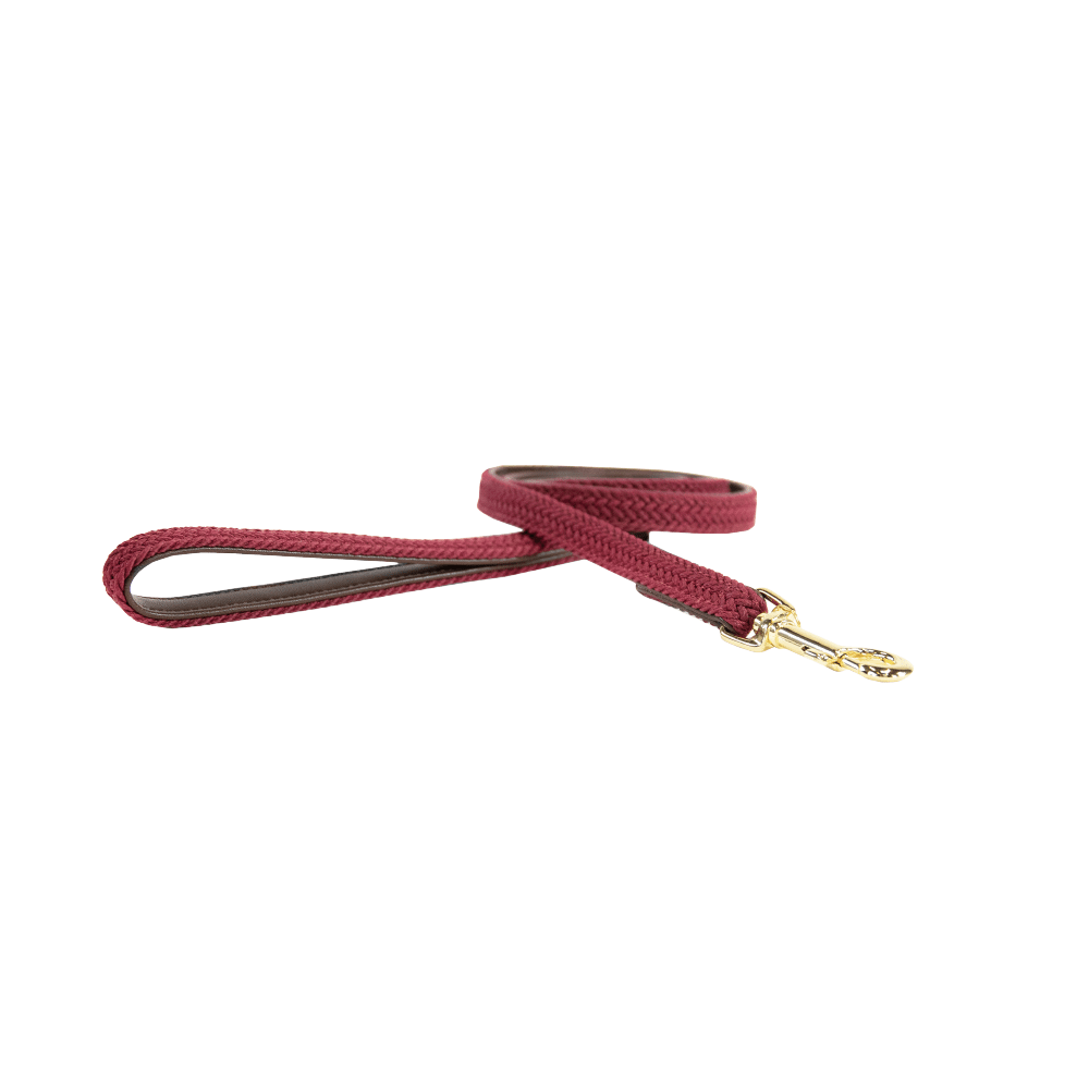 Plaited Nylon Dog Leash 120cm | Kentucky Dogwear | Stylish — Image 13
