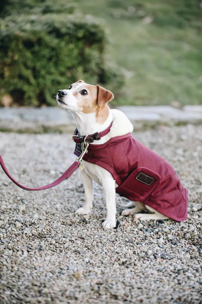 Kentucky Plaited Nylon Dog Lead Bordeaux