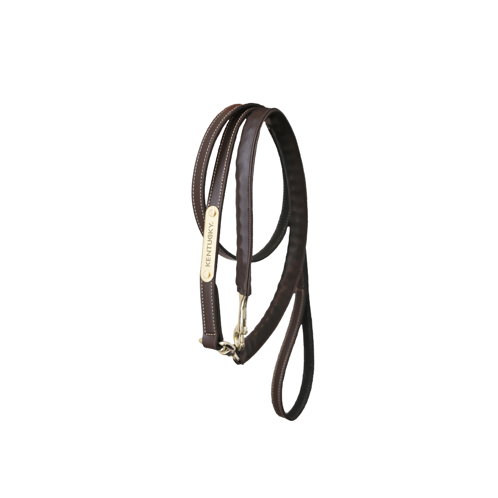 Leather Covered Chain Lead | Kentucky Horsewear | Stylish