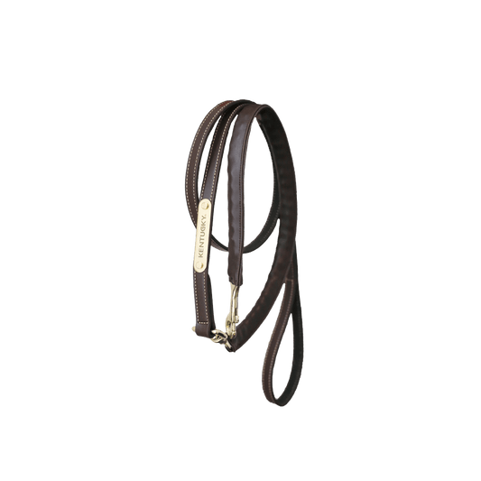 Leather Covered Chain Lead | Kentucky Horsewear | Stylish