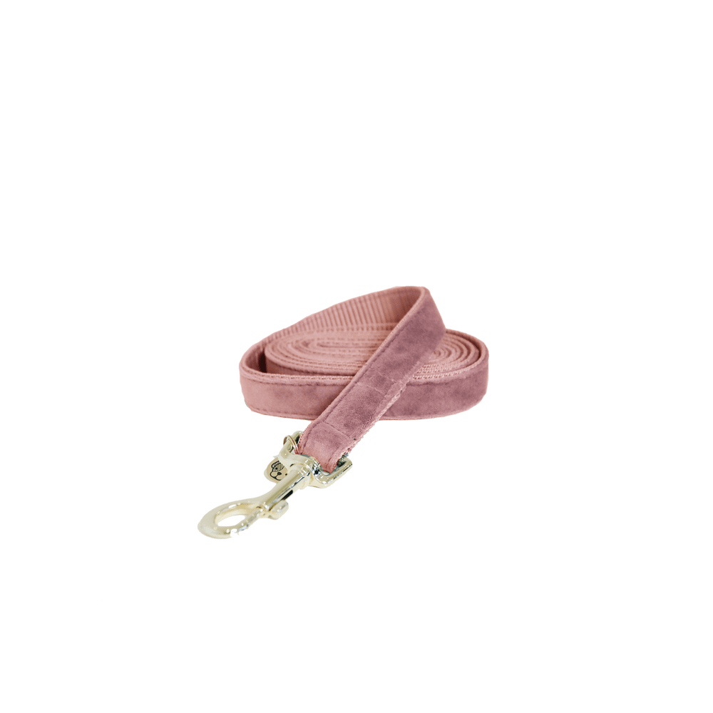 Dog Leash Velvet 120 cm | Kentucky Dogwear | luxurious — Image 7
