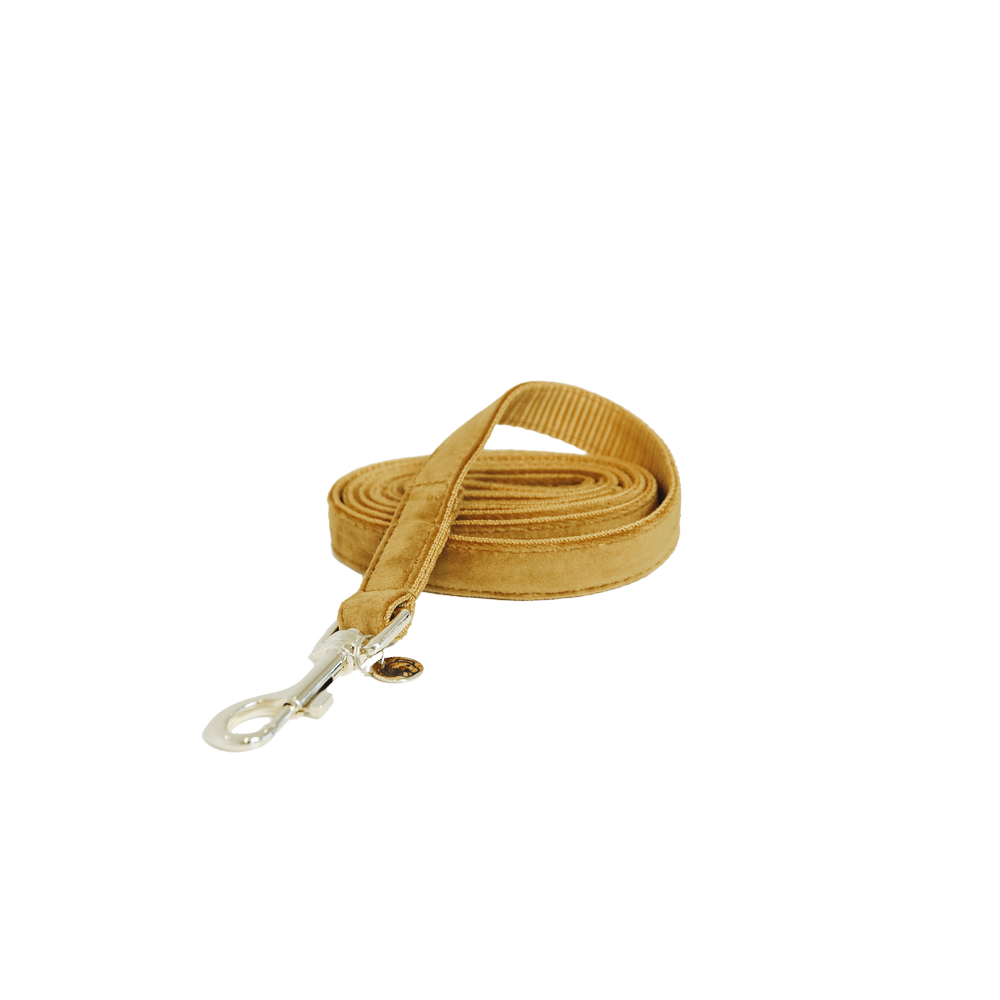 Dog Leash Velvet 120 cm | Kentucky Dogwear | luxurious — Image 15