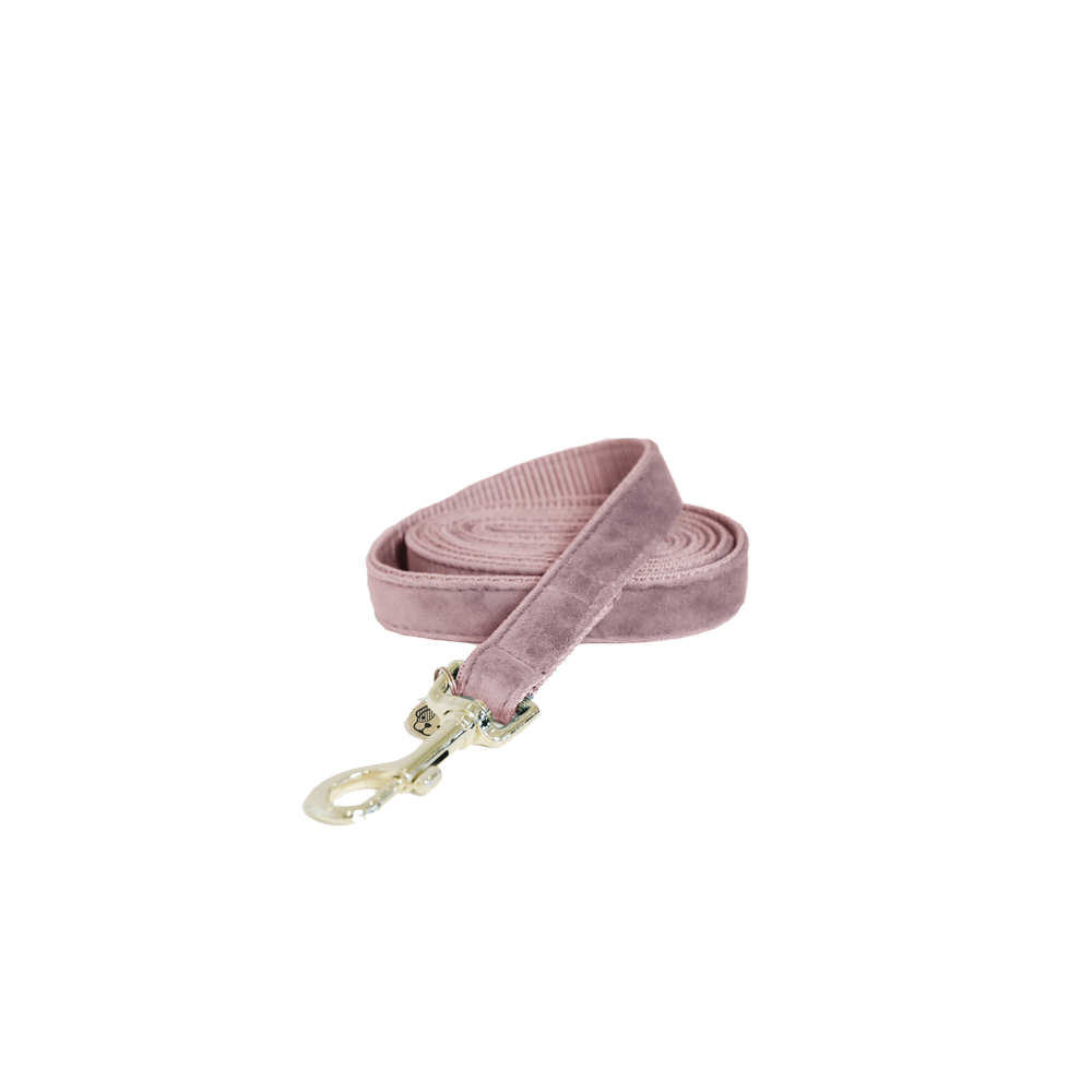 Dog Leash Velvet 120 cm | Kentucky Dogwear | luxurious — Image 18