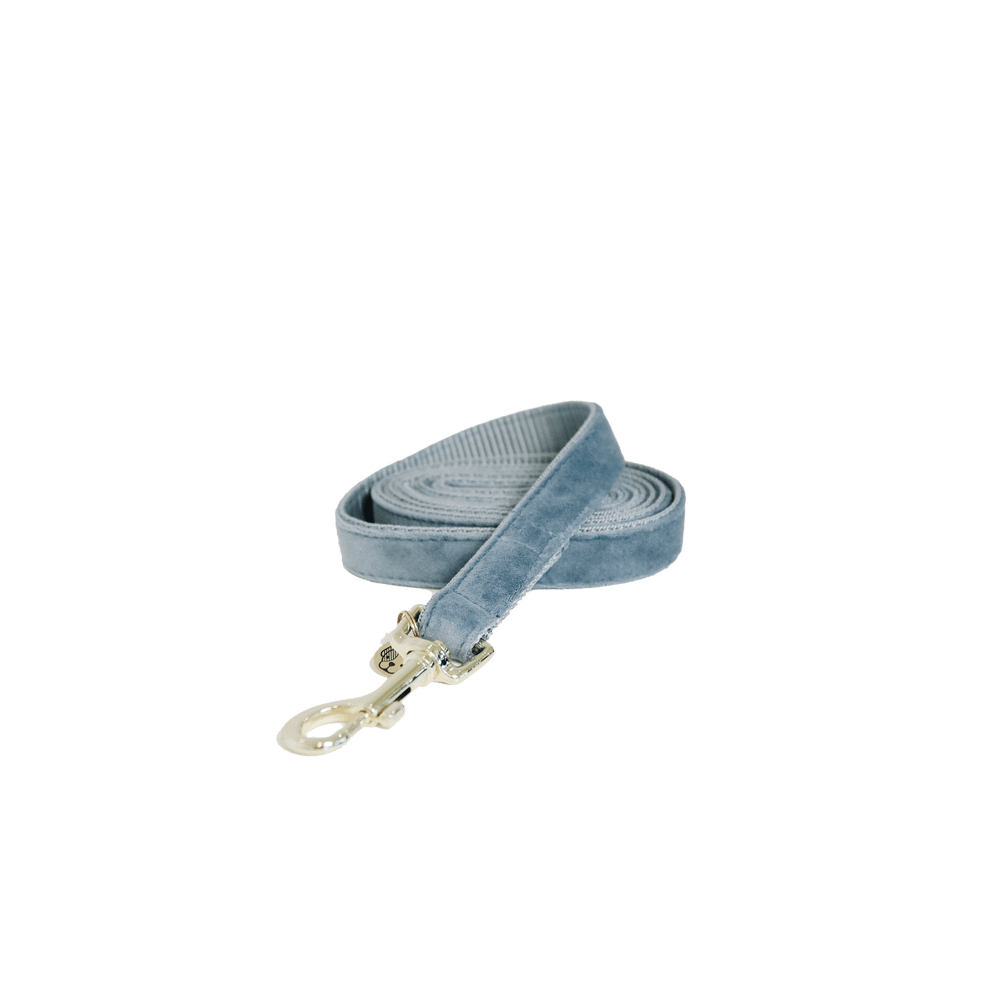 Dog Leash Velvet 120 cm | Kentucky Dogwear | luxurious — Image 11