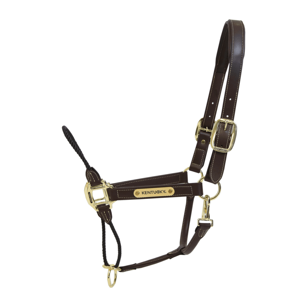 Leather Rope Halter | Kentucky Horsewear | durable