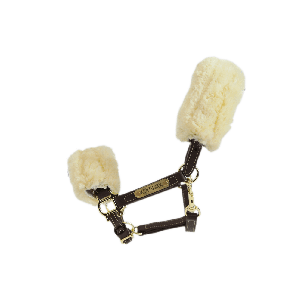 Leather Halter Sheepskin | Kentucky Horsewear | Comfort