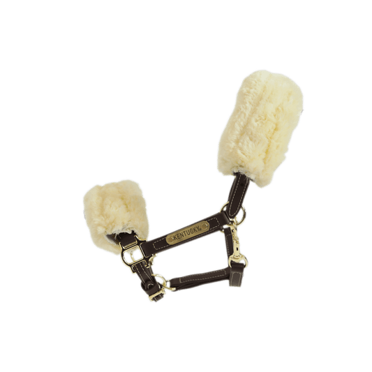Leather Halter Sheepskin | Kentucky Horsewear | Comfort