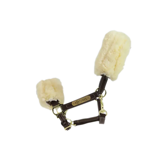 Boomerang Equestrian - Kentucky Leather Halter Sheepskin Brown