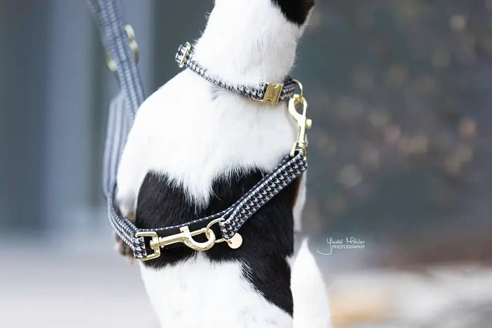 Kentucky Dog Collar Pied De Poule Black