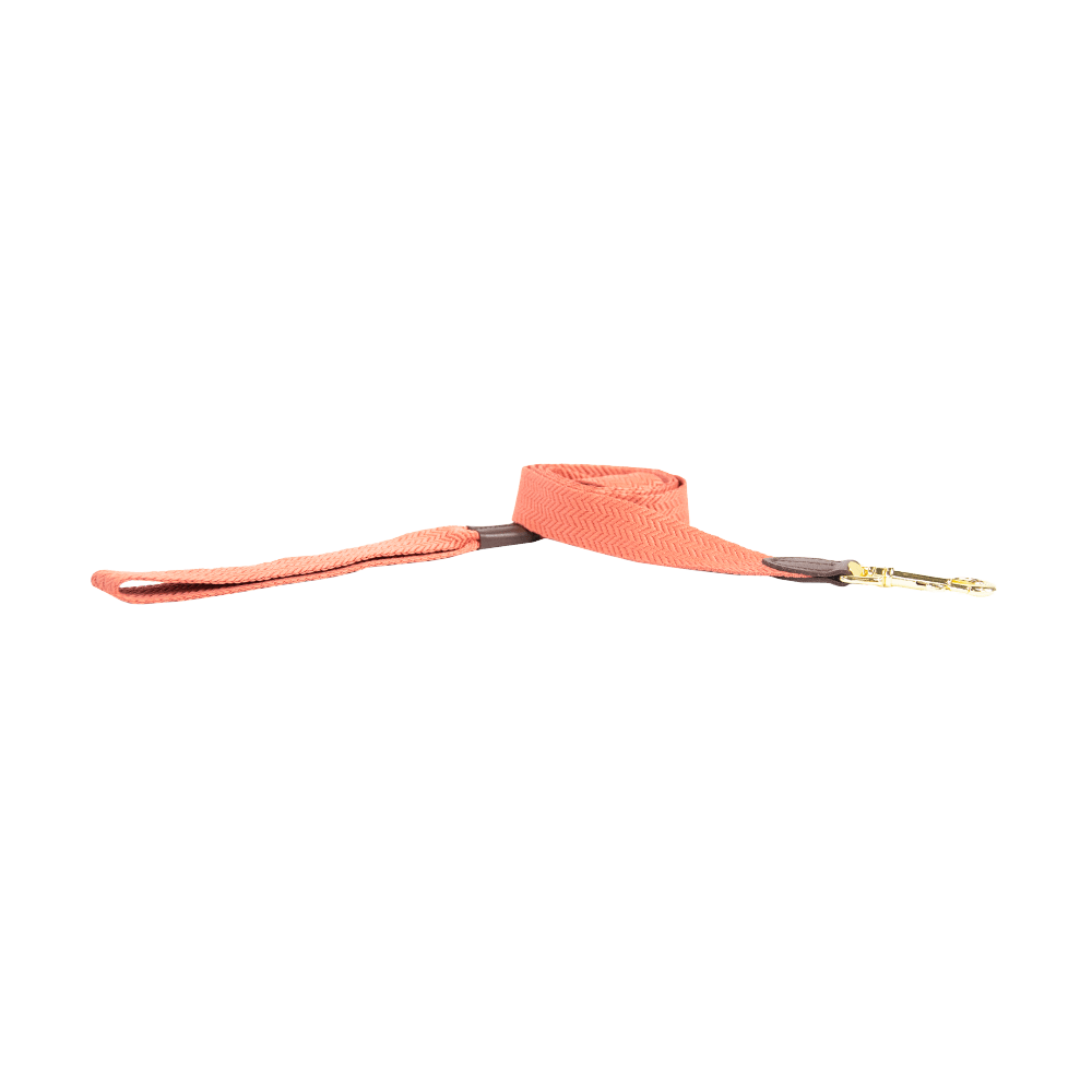 Dog Leash Jacquard | Kentucky Dogwear | Stylish