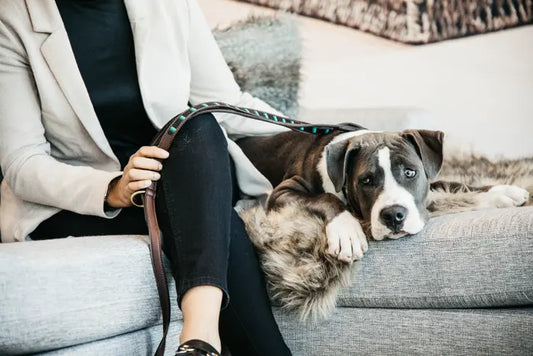 Boomerang Equestrian - Kentucky Dog Lead Handmade Pearls Black