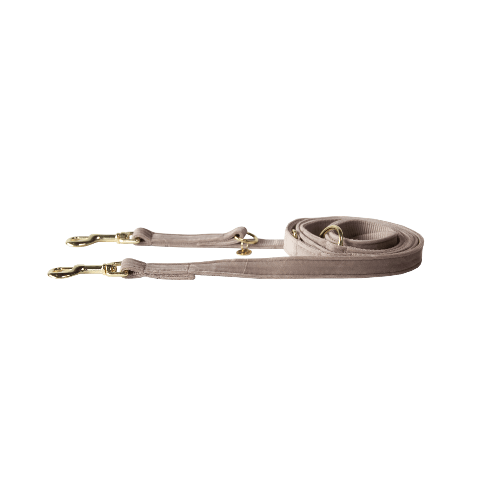 Dog Leash Velvet 200 cm | Kentucky Dogwear | Stylish — Image 10