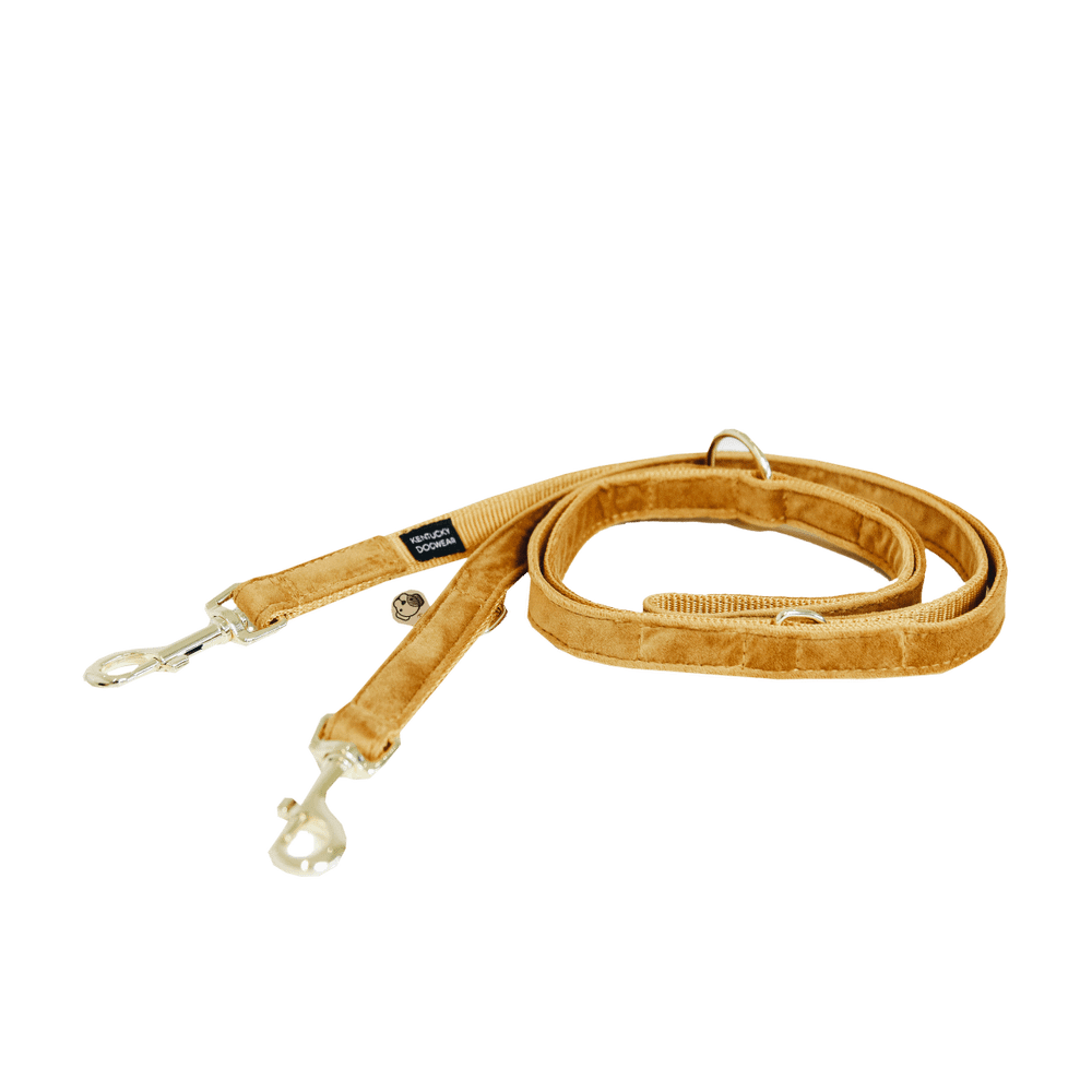 Dog Leash Velvet 200 cm | Kentucky Dogwear | Stylish — Image 15