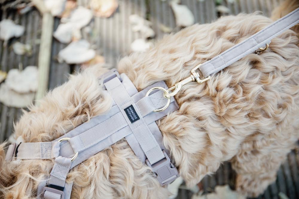 Dog Leash Velvet 200 cm | Kentucky Dogwear | Stylish — Image 11