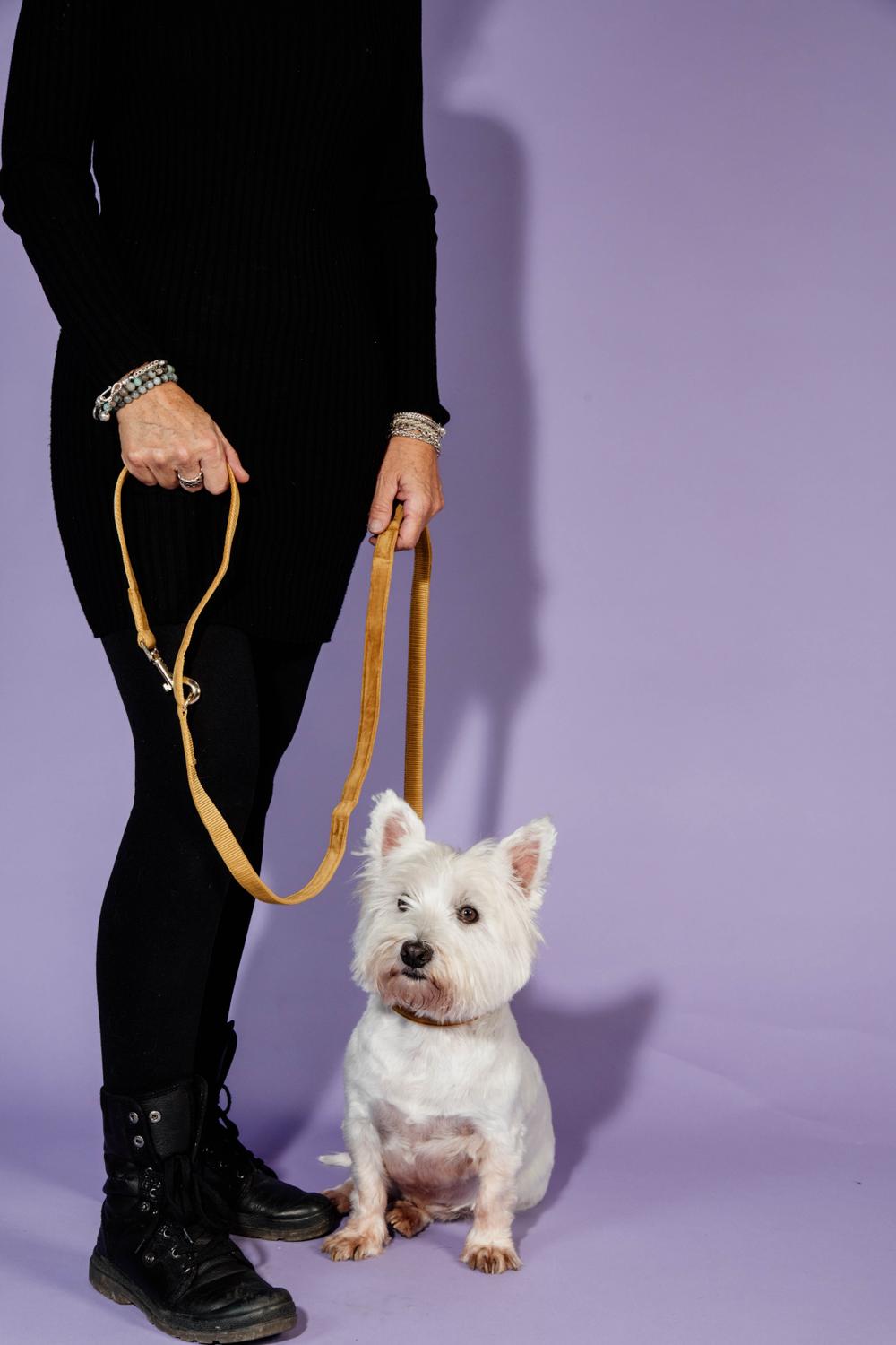 Dog Leash Velvet 200 cm | Kentucky Dogwear | Stylish — Image 16