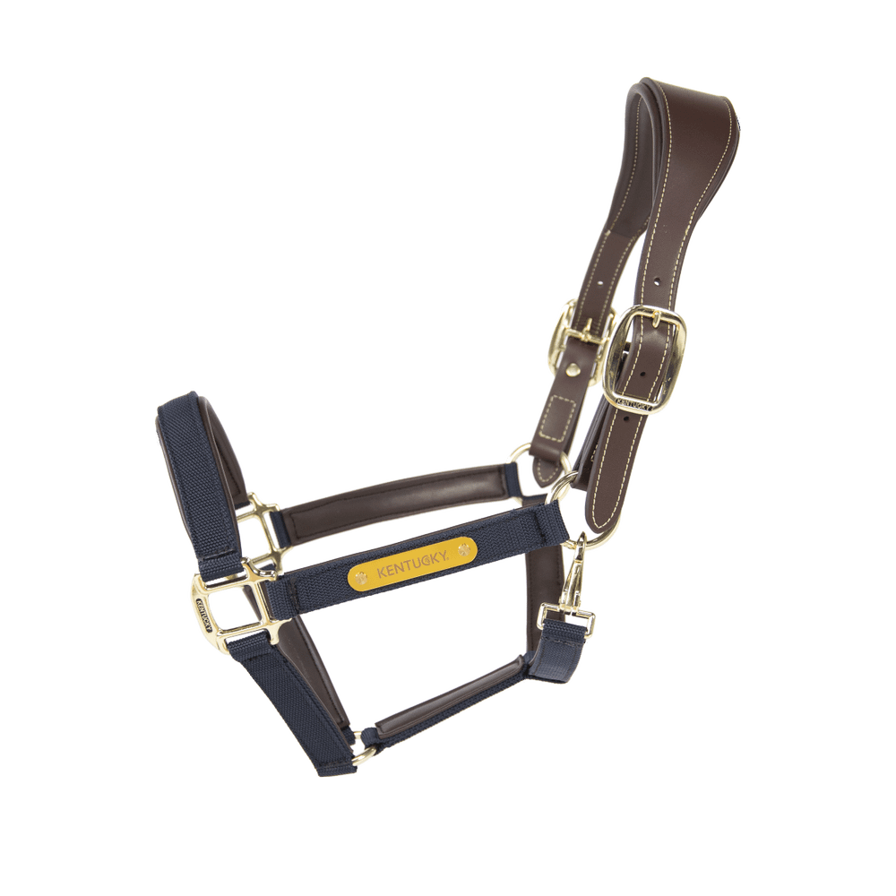 Nylon Anatomic Halter | Kentucky Horsewear | Durable