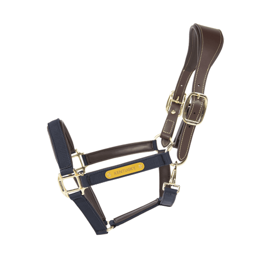 Nylon Anatomic Halter | Kentucky Horsewear | Durable