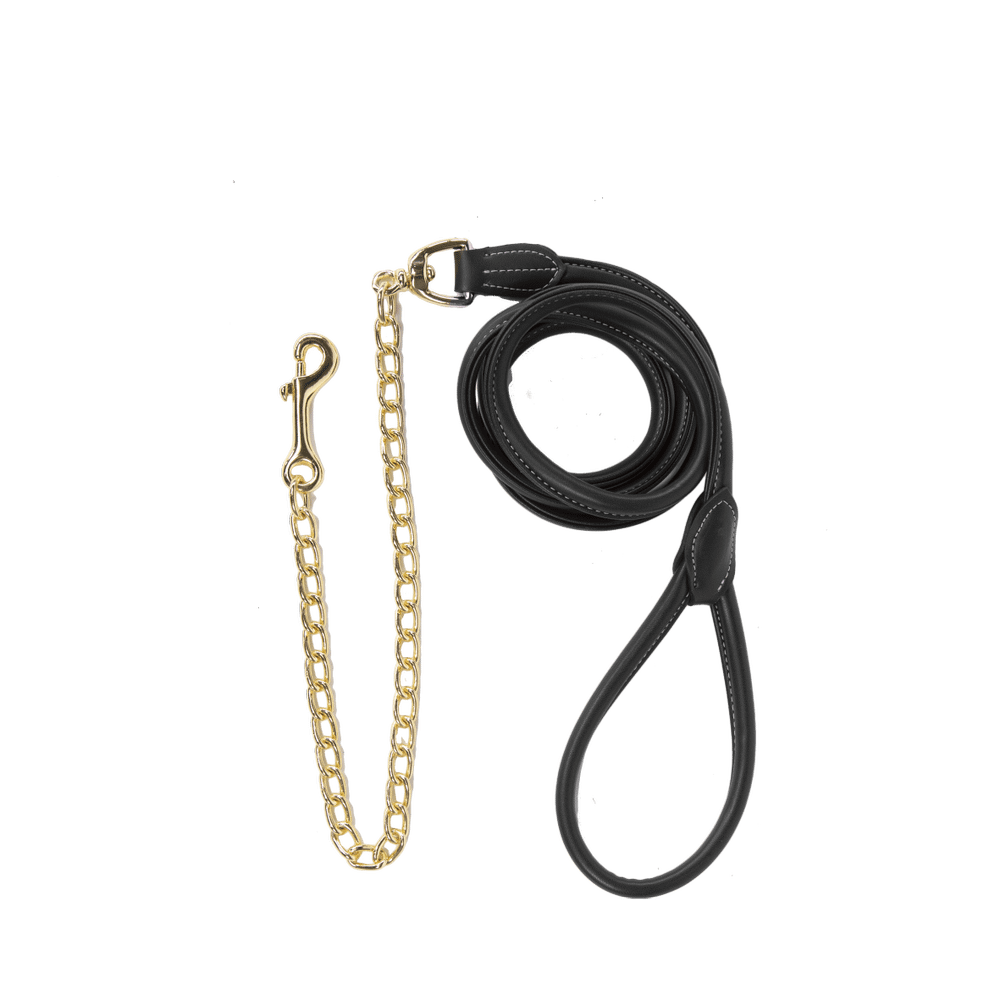 Leather Chain Lead | Kentucky Horsewear | Durable — Image 5