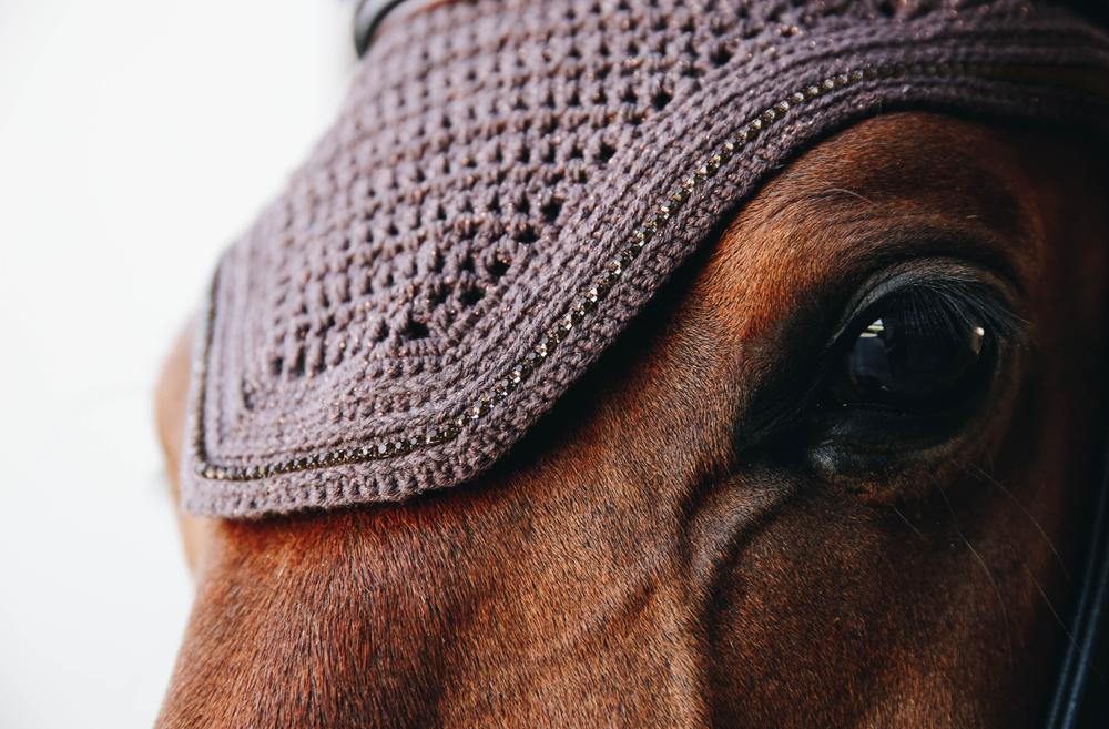 Fly Veil Wellington Sparkling | Kentucky Horsewear | elegantprotection — Image 5