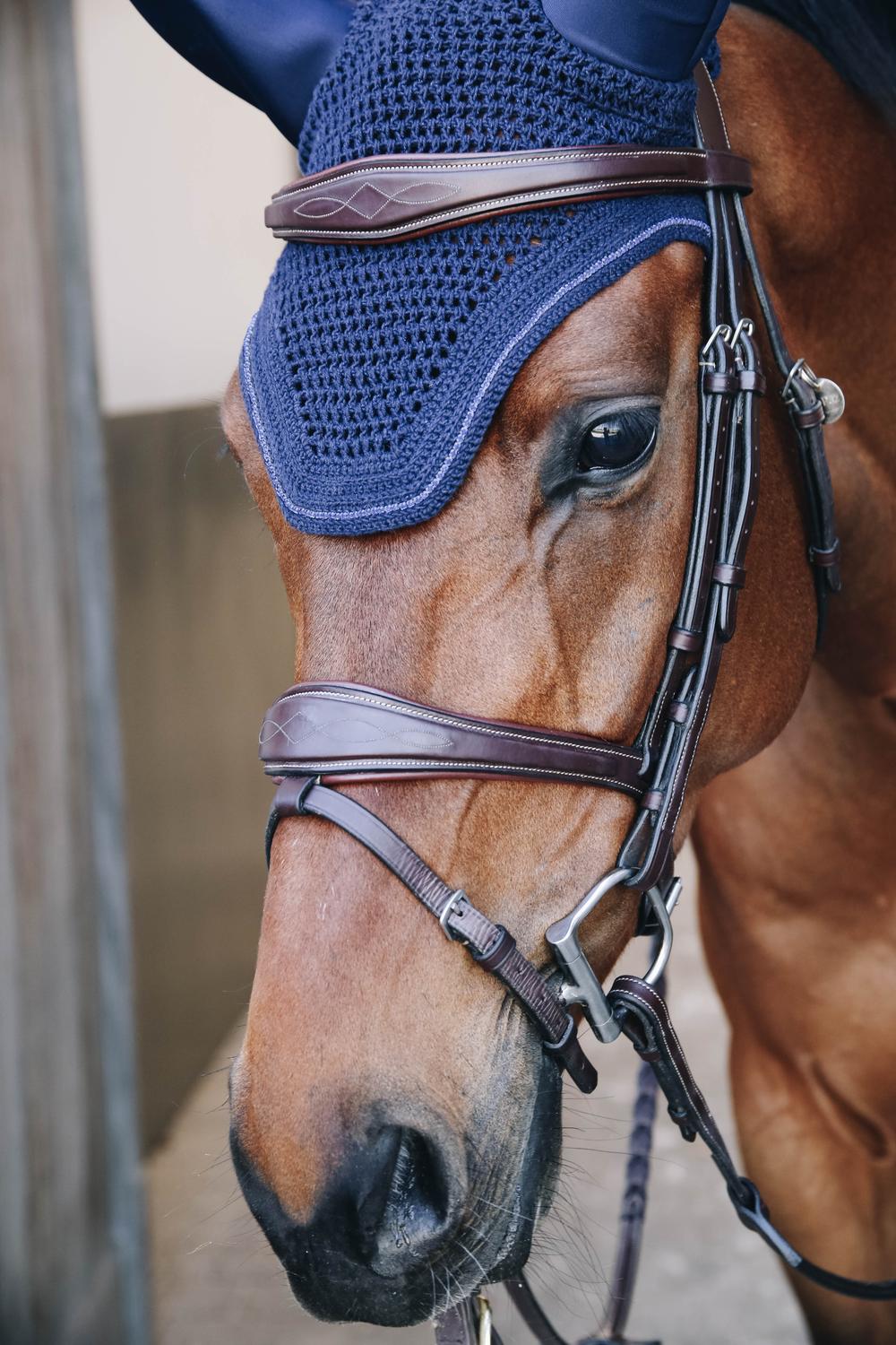 Fly Veil Wellington Sparkling | Kentucky Horsewear | elegantprotection — Image 2