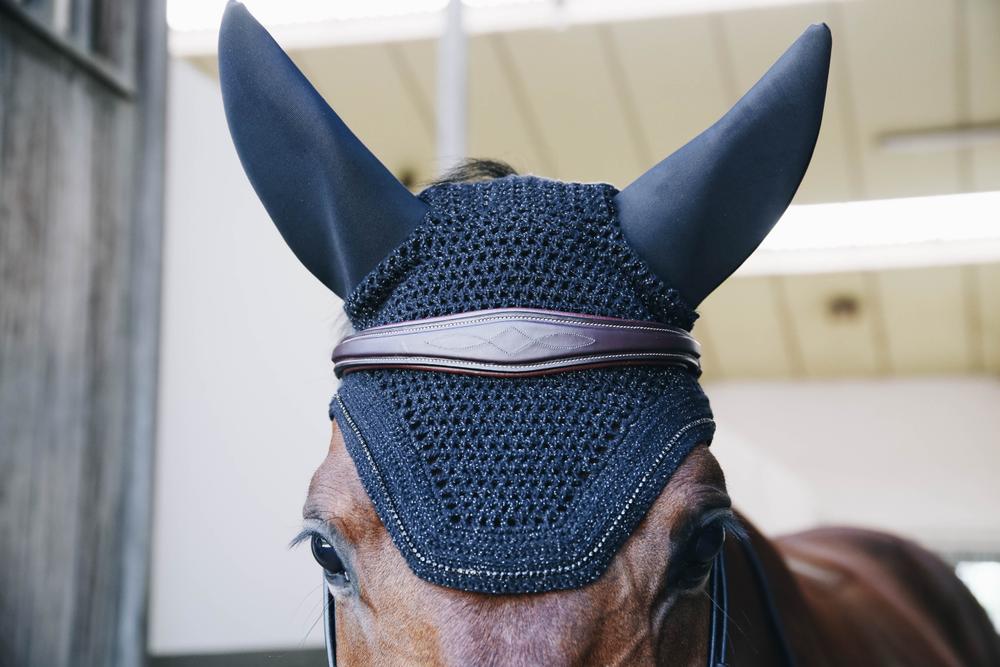 Fly Veil Wellington Sparkling | Kentucky Horsewear | elegantprotection — Image 7