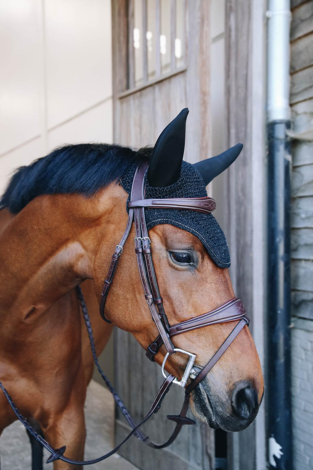 Fly Veil Wellington Sparkling | Kentucky Horsewear | elegantprotection — Image 14