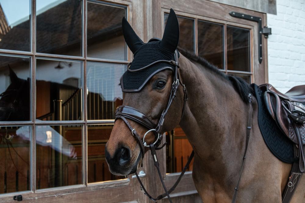 Fly Veil Wellington Leather | Kentucky Horsewear | Durability — Image 9