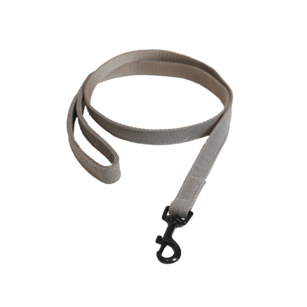 Dog Leash Lizard | Kentucky Dogwear | Stylish
