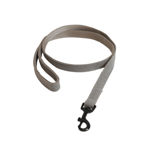 Dog Leash Lizard | Kentucky Dogwear | Stylish