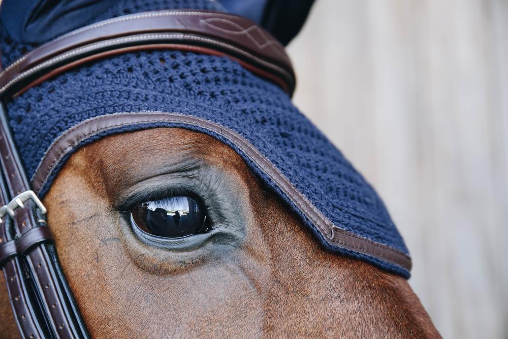 Fly Veil Wellington Leather | Kentucky Horsewear | Durability — Image 14