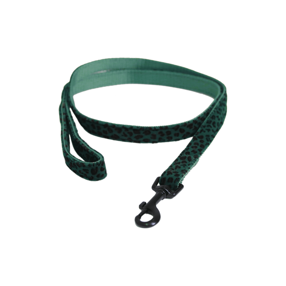 Dog Leash Leopard | Kentucky Dogwear | Stylish