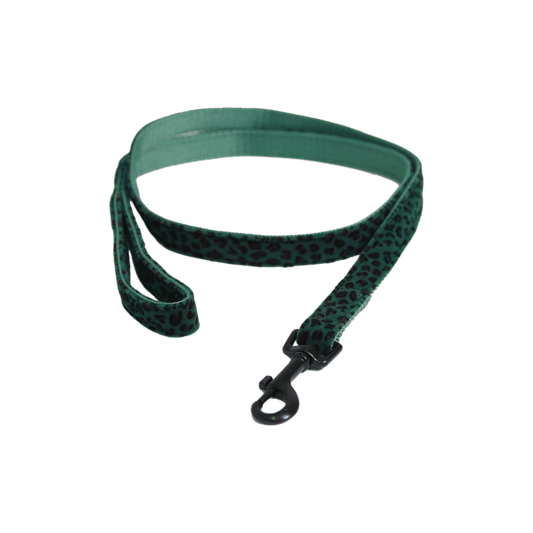 Dog Leash Leopard | Kentucky Dogwear | Stylish