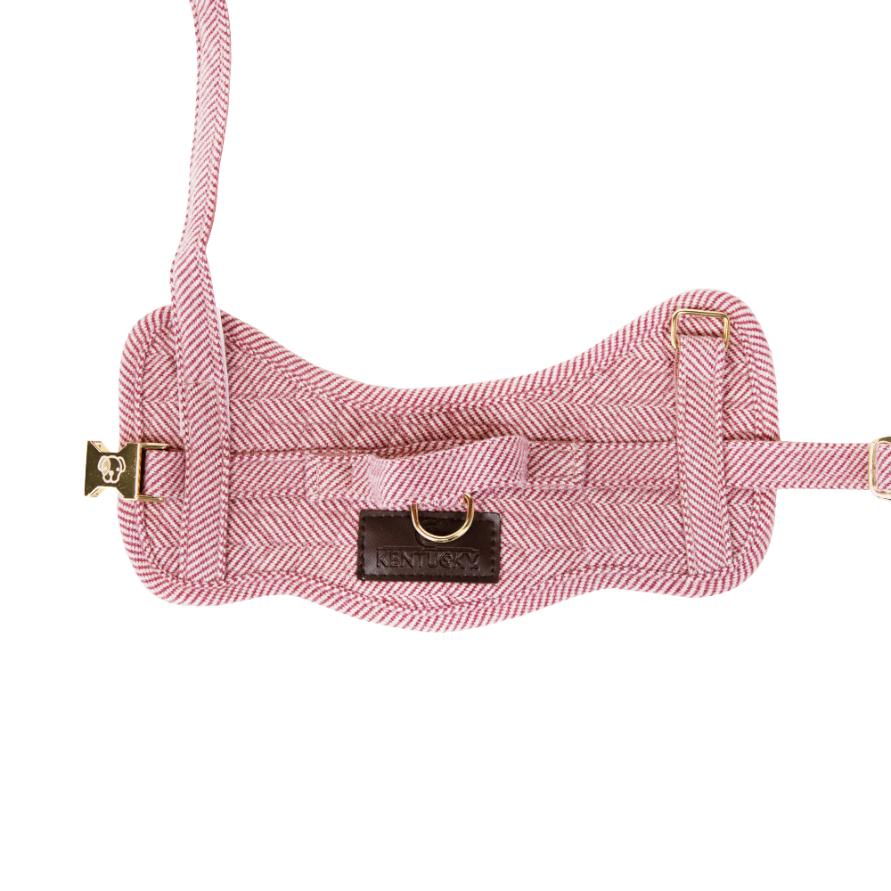 Dog Harness Body Safe Wool | Kentucky Dogwear | Comfort