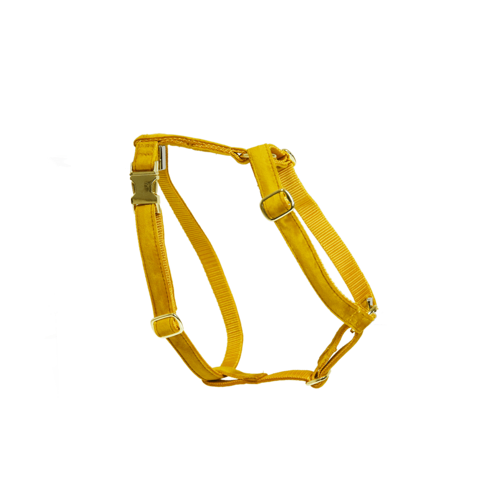 Dog Harness Loop Velvet | Kentucky Dogwear | Comfort — Image 8