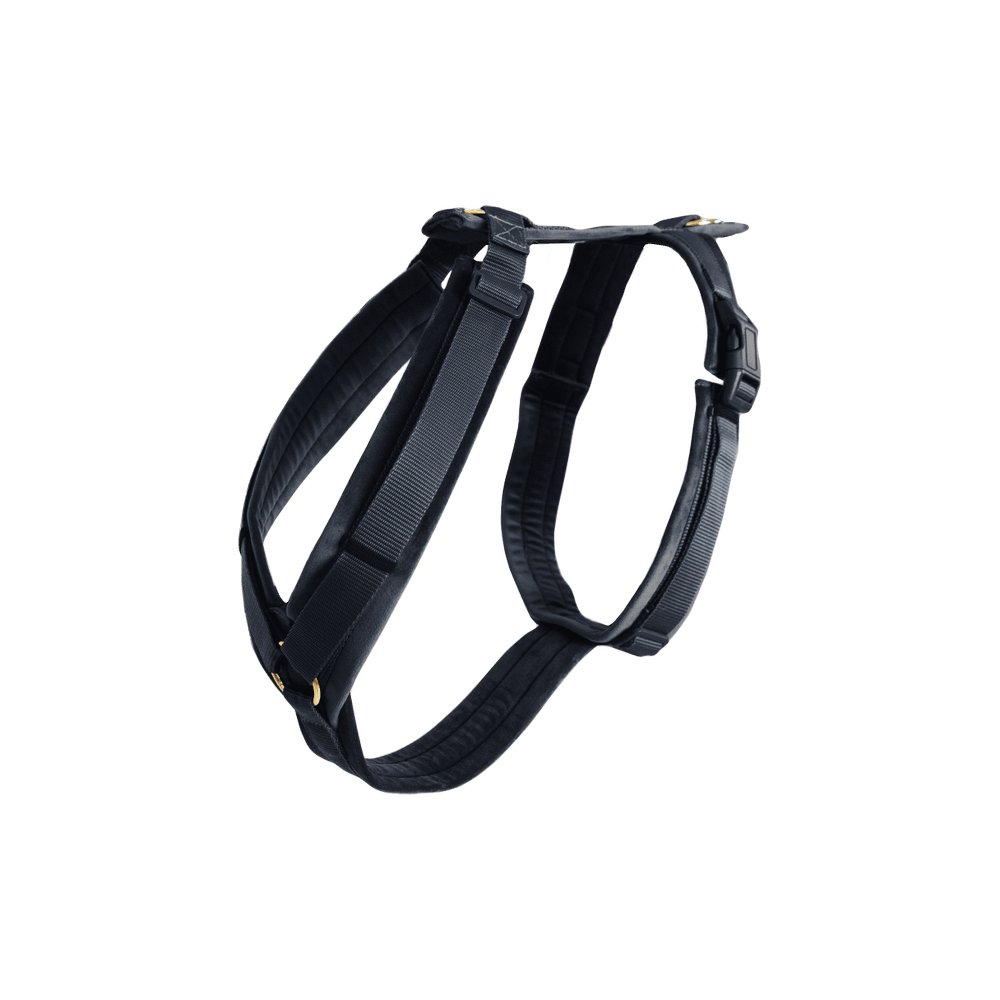 Dog Harness Active Velvet | Kentucky Dogwear | Comfort — Image 13