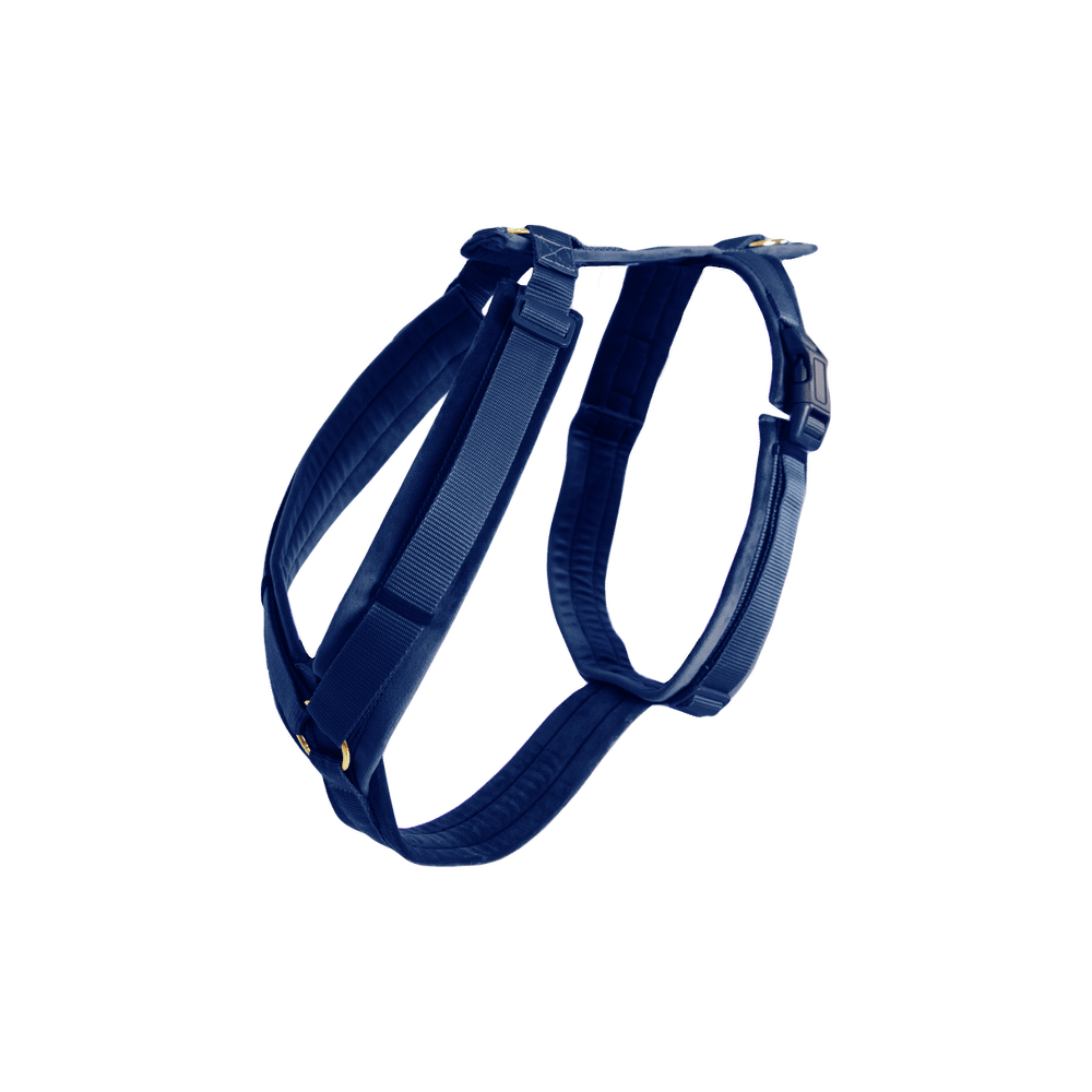 Dog Harness Active Velvet | Kentucky Dogwear | Comfort — Image 11