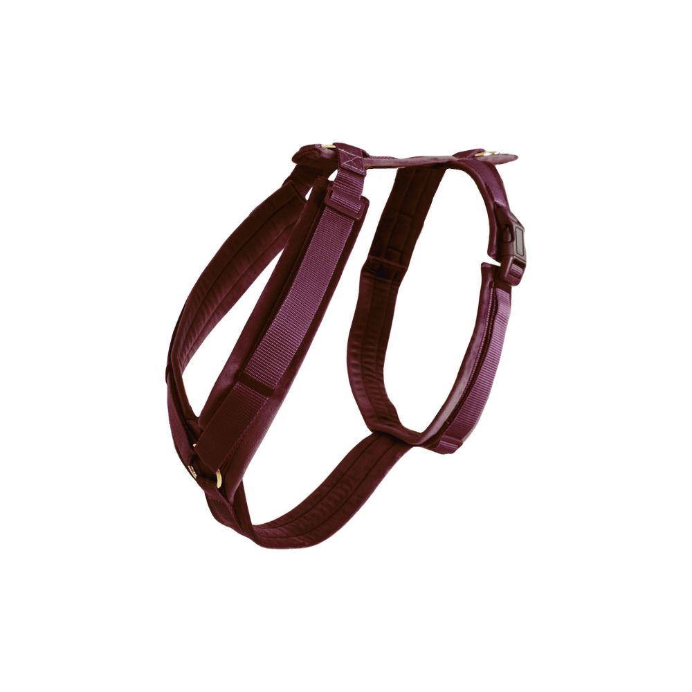 Dog Harness Active Velvet | Kentucky Dogwear | Comfort