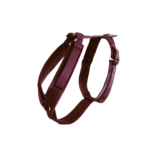 Dog Harness Active Velvet | Kentucky Dogwear | Comfort