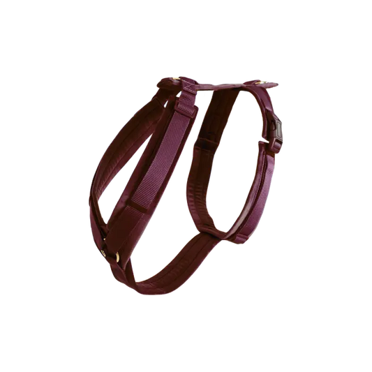 Boomerang Equestrian - Kentucky Dog Harness Active Velvet Bordeaux