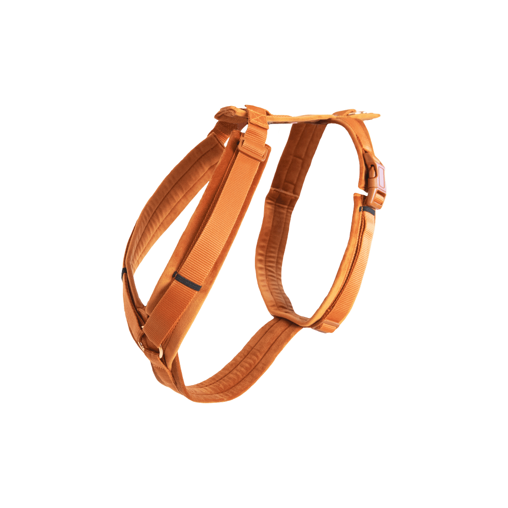 Dog Harness Active Velvet | Kentucky Dogwear | Comfort — Image 7
