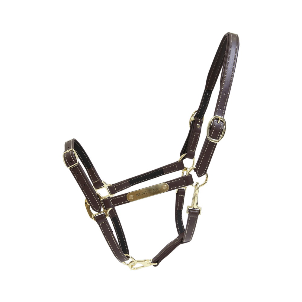 Leather Halter Flexible | Kentucky Horsewear | Versatile
