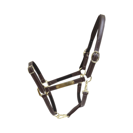 Leather Halter Flexible | Kentucky Horsewear | Versatile