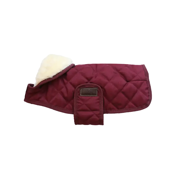 Kentucky Dog Coat Original Bordeaux