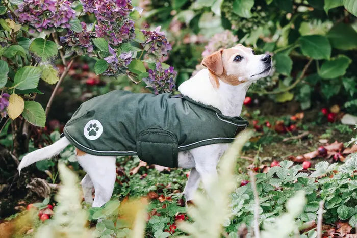 Kentucky Waterproof Dog Coat 300g Olive Green