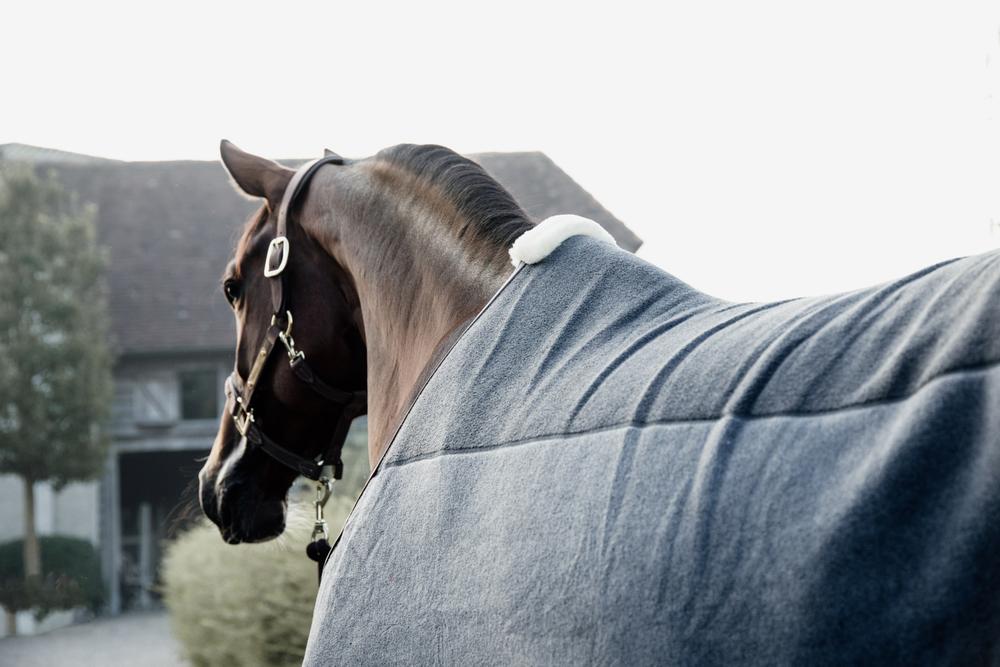 Fleece Rug Heavy | Kentucky Horsewear | Luxury — Image 2